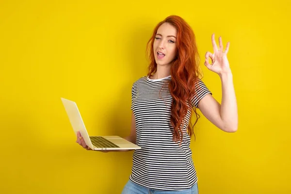 魅力的な陽気な熟練した赤毛の女性がイエロースタジオの背景にストライプのシャツを着用し ノートパソコンでOkサインウィンキングを表示 — ストック写真