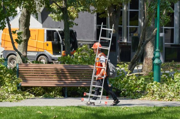 Человек в оранжевой каске и светоотражающем жилете носит стремянку через плечо, когда идет по тротуару со скамейкой и упавшими конечностями деревьев поблизости, что указывает на недавние повреждения от уборки или шторма..