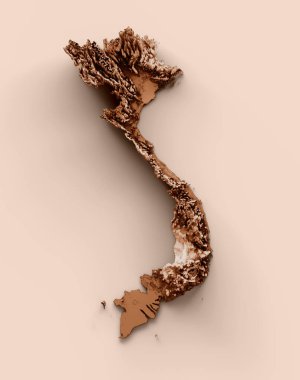 Map of Vietnam in old style, brown graphics in a retro style Vintage Style. High detailed 3d illustration