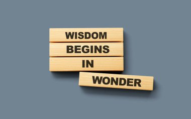 Tahta bilgeliği engelliyor. Harika bir kelime olan 3D illüstrasyonla başlıyor.