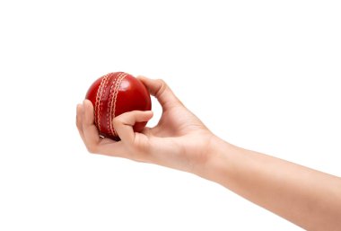 Female Bowler Grip To The Red Test Cricket Ball Closeup Photo Of Female Cricketer Hand About To Bowl clipart
