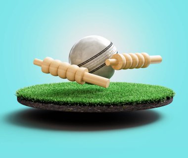 Beyaz Deri Dikilmiş ODI Kriket Topu Çimen Sahasında 2 Kum Torbasıyla 3B Görüntü