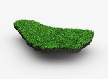 Barbados Haritası Toprak Toprakları Jeolojisi Bölüm Yeşil Çim ve Kaya Zemin Doku 3D Görüntü