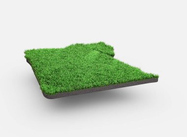 Mısır Toprak Haritası Jeoloji Bölümü Yeşil Çimen ve Kaya Döşemesi 3D Görüntü