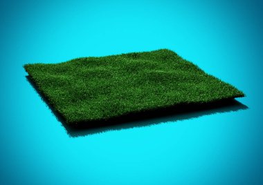 Mavi Arkaplanda Yeşil Çimenli Dikdörtgen Astroturf Halısı 3B Görüntü