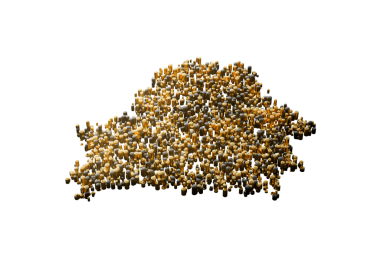 Beyaz Rusya Haritası Yüksek Kaliteli Altın Metalik Bakır Sütunlar 3D İllüstrasyon