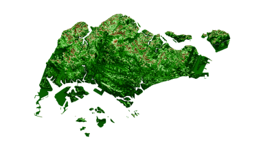 Singapur Topografik Haritası 3d gerçekçi harita Renkli 3d illüstrasyon