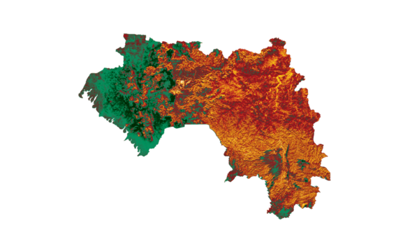 Üzerinde bayrak olan Gine Haritası Kırmızı ve Sarı Gölgeli Yardım Haritası 3d
