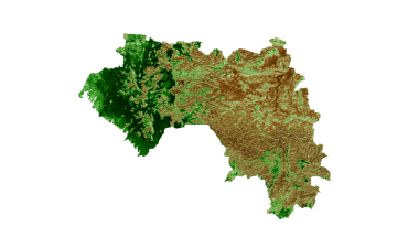 Gine Topografik Haritası 3d gerçekçi harita Renk 3d illüstrasyon
