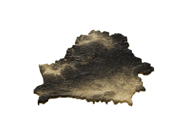 Belarus Haritası Altın Metalik Doku Haritası Altın Rezervleri ve Altın Madencilik Konsepsiyonu 3B İllüstrasyon