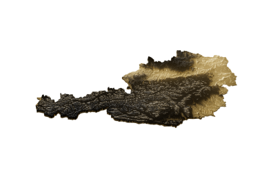 Avusturya Altın Metalik Doku Haritası Altın Rezervleri ve Altın Madencilik Konsepti 3B İllüstrasyon