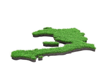 Haiti Haritası Toprak Jeolojisi Bölüm Yeşil Çim ve Kaya Zemin Doku 3D Görüntü