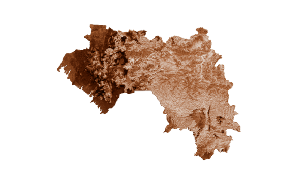 Gine haritası eski tarzda, kahverengi grafikler eski tarz Vintage stilinde. Yüksek detaylı 3d illüstrasyon