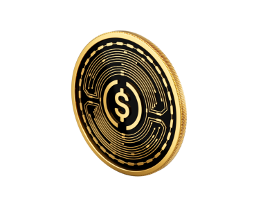 Altın ve Siyah Yuvarlak Şifreli Para USD USDC 3D Görüntü