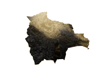 Bolivya Haritası Altın Metalik Doku Haritası Altın Rezervleri ve Altın Madencilik Konsepsiyonu 3B İllüstrasyon