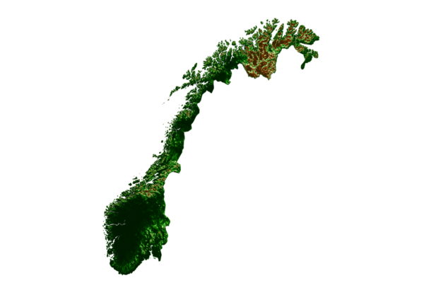 Norveç Topografik Haritası 3d gerçekçi Harita Renk 3d illüstrasyon