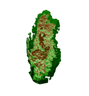 Katar Topografik Haritası 3d gerçekçi harita Renk 3d illüstrasyonuName
