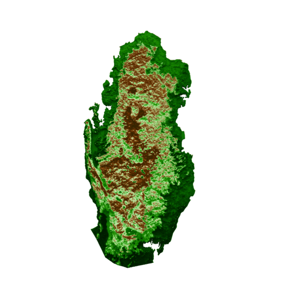 Katar Topografik Haritası 3d gerçekçi harita Renk 3d illüstrasyonuName