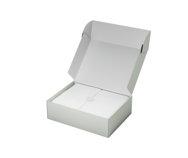 Pürüzsüz Kenarlı Pürüzsüz Bir Açık Dikdörtgen Mücevher Kutusu Zarif Görünüm 3d