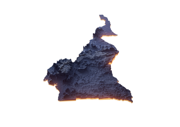 Aydınlatılmış Kamerun Veri Haritası Coğrafi Özellikleri Vurguluyor Neon Işıklı 3B Görüntü