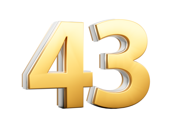3 Boyutlu Altın Parlak 43 Numara Gümüş Çizgili 43 Numara
