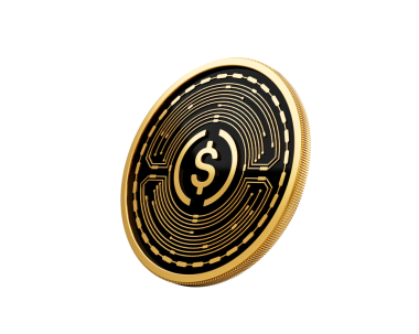Altın ve Siyah Yuvarlak Şifreli Para USD USDC 3D Görüntü