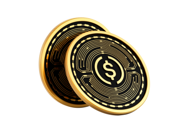 İki Altın ve Siyah Yuvarlak Şifreleme USDC 3D İllüstrasyon