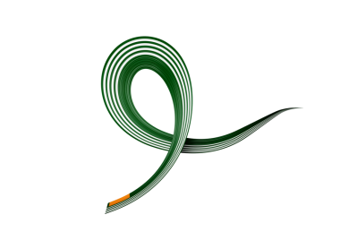 Kashmir 'in 3d bayrağı hilal ay ve yıldızlı parlak dalgalı kurdele. 3B Görüntü.