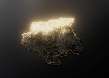 Surinam Haritası Altın Metalik Doku Haritası Altın Rezervleri ve Altın Madencilik Konsepsiyonu 3B İllüstrasyon