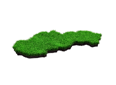 Slovakya Haritası Toprak Jeoloji Bölümü Yeşil çimenler ve Kaya zemin dokusu 3d illüstrasyon