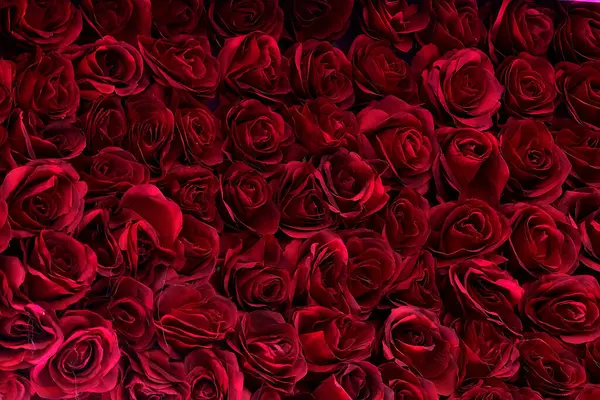Kırmızı güllerle dolu bir çiçek arkaplanı