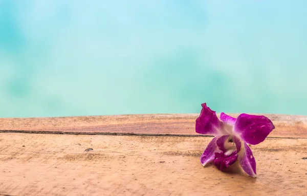 Cute Orchid Woodden Plank — Stock Photo, Image