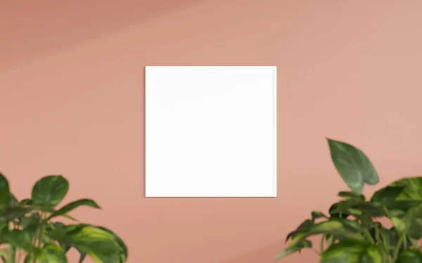 깨끗하고 미니멀리즘적 프론트 정사각형 사진이나 포스터 프레임을 식물로 놓는다 렌더링 — 스톡 사진