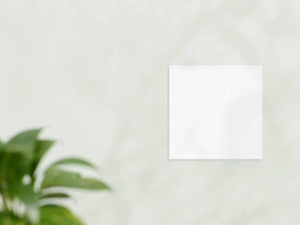 正方形的白色框架在白墙上模仿 海报嘲笑 极小的框架 室内空框架 显示文本或产品 框架模型与阴影和植物 3D渲染 — 图库照片
