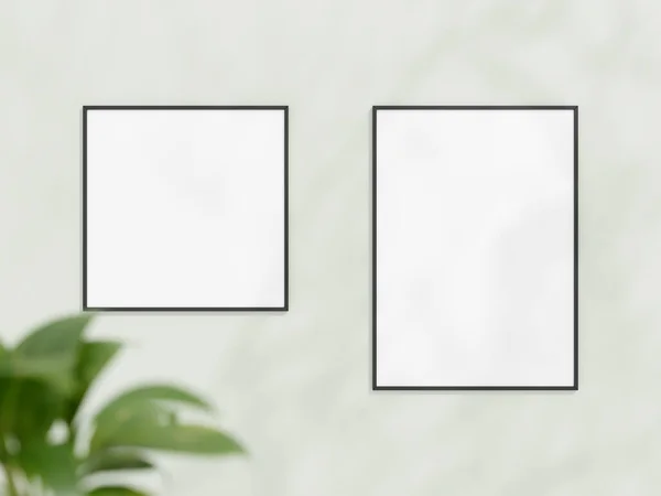 白色墙壁上的黑框模型 海报嘲笑 极小的框架 室内空框架 显示文本或产品 框架模型与阴影和植物 3D渲染 — 图库照片