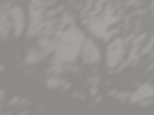 Абстрактный Фон Цементной Стены Органический Теневой Свет Концепции Задний Ход — стоковое фото