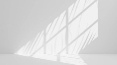 Ürün sunumu için soyut beyaz stüdyo arka planı. Penceresi gölgeli boş bir oda. Bulanık arkaplan ile ürünü göster.