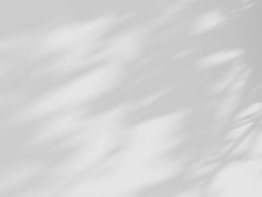 Beyaz desenli duvarın üzerinde organik gölgenin beyaz arkaplanı