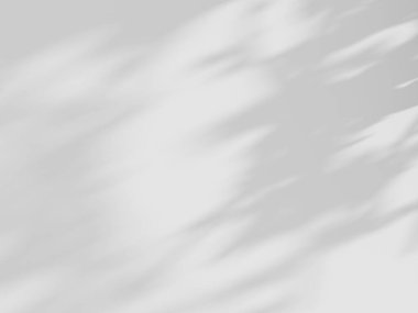 Beyaz desenli duvarın üzerinde organik gölgenin beyaz arkaplanı