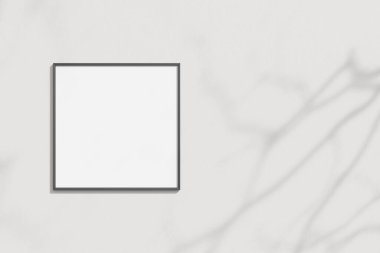 Dalları gölgeli beyaz duvara boş çerçeve