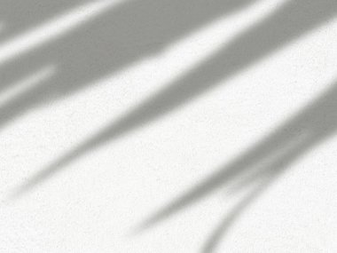 Bulanık gerçekçi doğal organik yaprak gölgesi