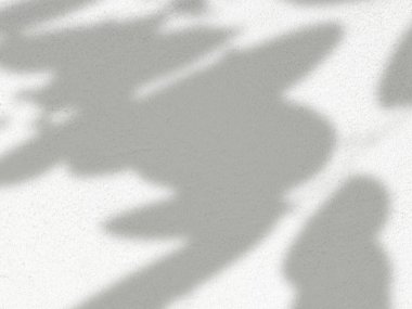 Bulanık gerçekçi doğal organik yaprak gölgesi