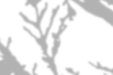 Ürün sunumu, arkaplan ve modellemesi için, beyaz doku arka planı üzerinde doğal gölge örtüsü etkisi