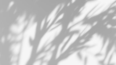 Yaprak gölgesi etkisi. tropik yapraklı beyaz arkaplan gölgeler