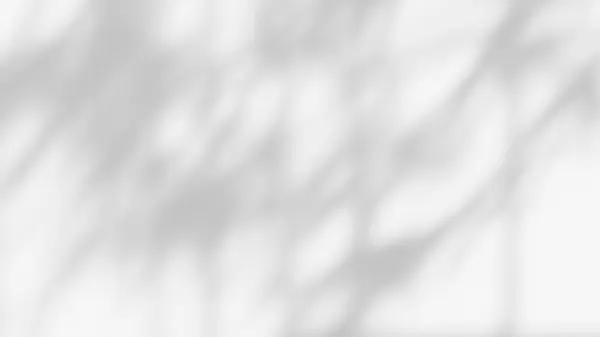 叶荫复盖效果 热带树叶阴影的白色背景 — 图库照片
