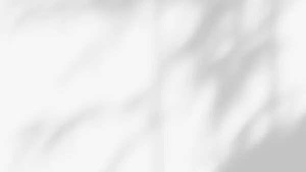 Эффект Наложения Тени Листьев Белый Фон Тропическими Листьями Тени — стоковое фото