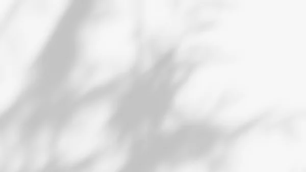 Αποτέλεσμα Επικάλυψης Σκιά Φύλλων Λευκό Φόντο Τροπικά Φύλλα Σκιές — Φωτογραφία Αρχείου