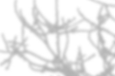 Soyut beyaz duvar arkaplan dokusunda güneş ışığı gölgesi