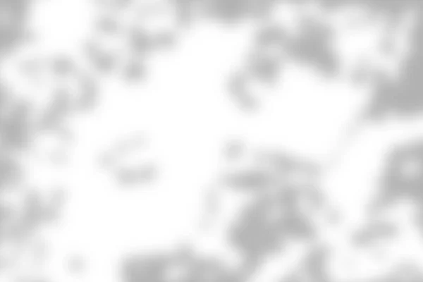 Zonlicht Schaduw Abstracte Witte Muur Achtergrond Textuur — Stockfoto