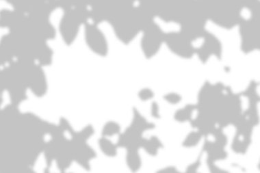 Gri yapraklar gölge ve aydınlık bulanık arkaplan beyaz duvarda, gölge örtüsü etkisi